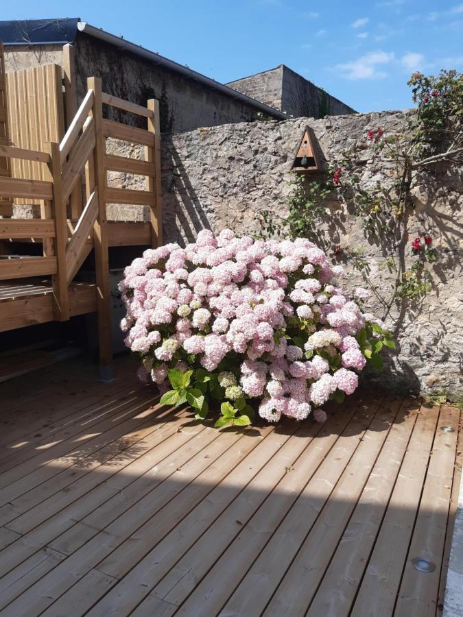 Nature - Gite Entierement Neuf A 100M De La Plage Wimereux Dış mekan fotoğraf
